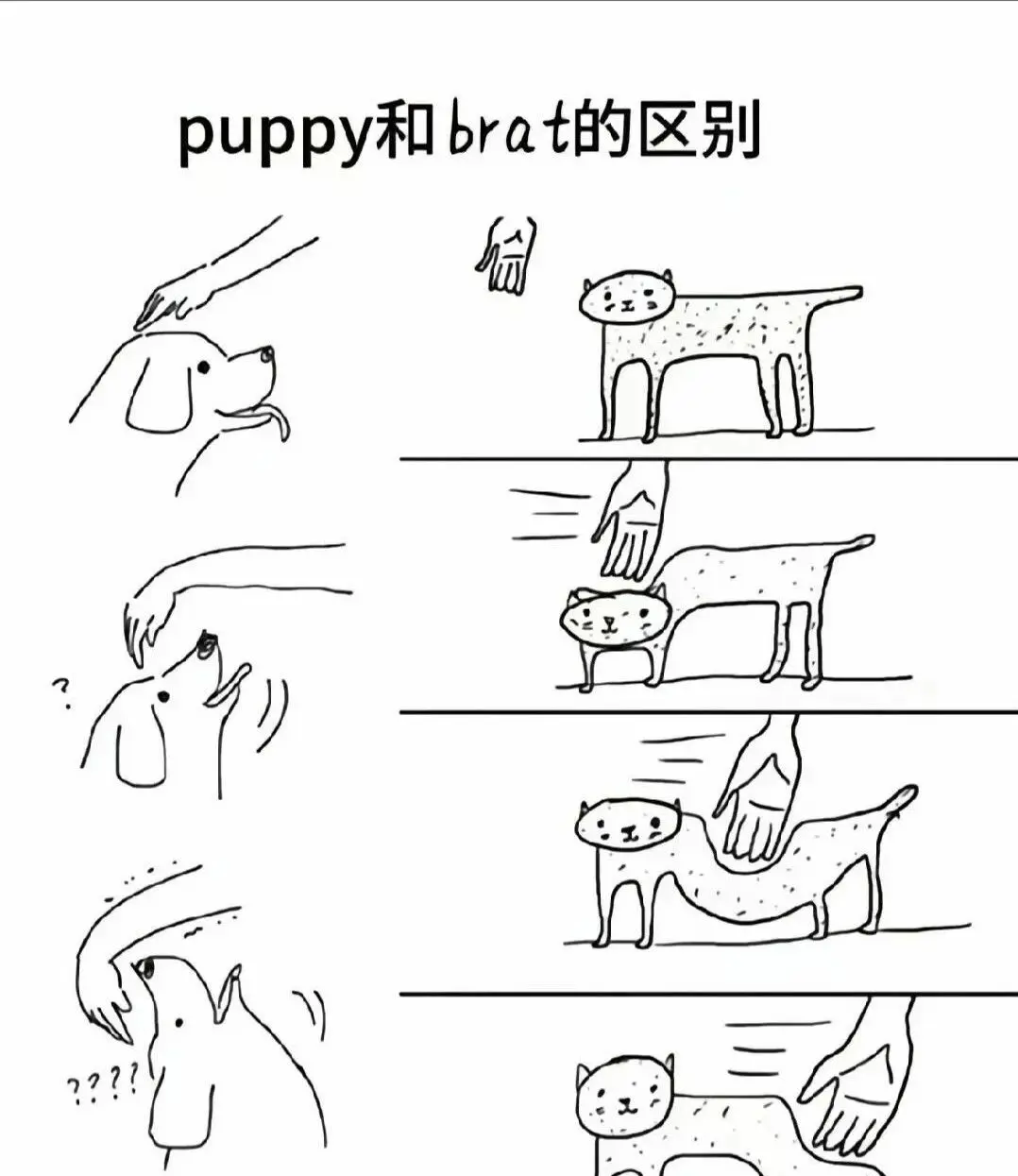 女王 - 微信图片_2025-11-13_180940_765