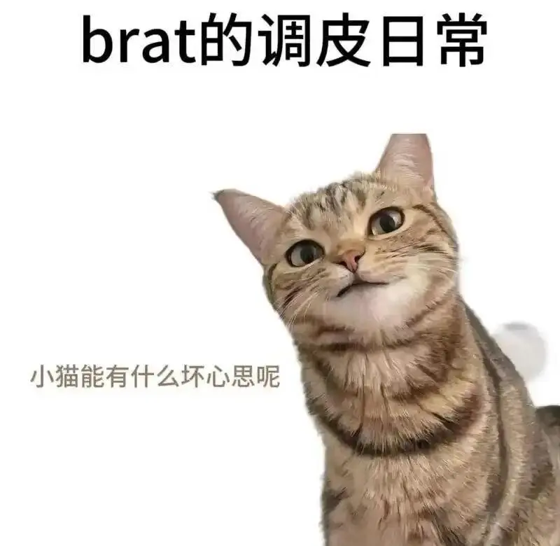 【西檬之家】S倾向是什么？BDSM新人入圈指南与术语解析