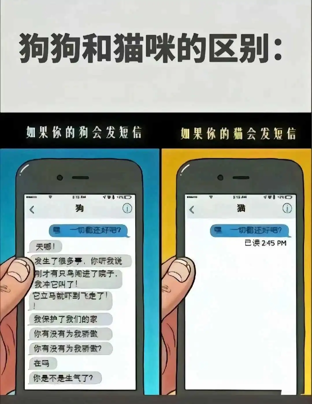 西檬之家-字母圈的DS关系是什么意思？