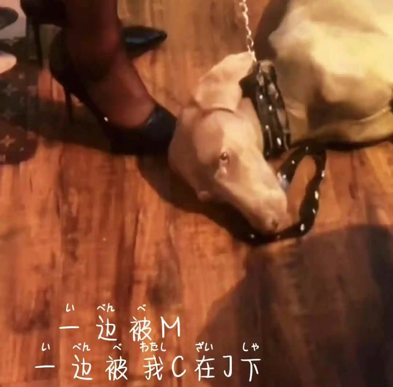 【西檬之家】斯慕圈是什么？新人入圈BDSM指南
