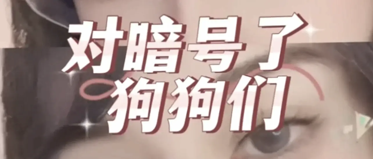 【西檬之家-PE是什么？字母圈中的权力交换实践指南】