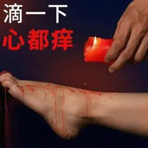 【西檬之家】k9是什么：字母圈新人入圈指南