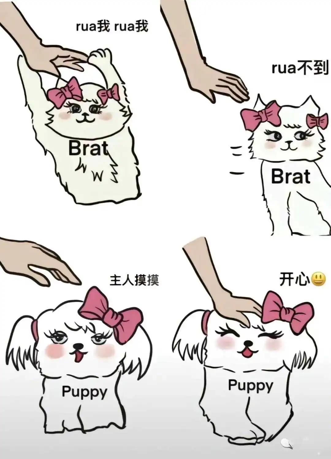 s属性：实用指南