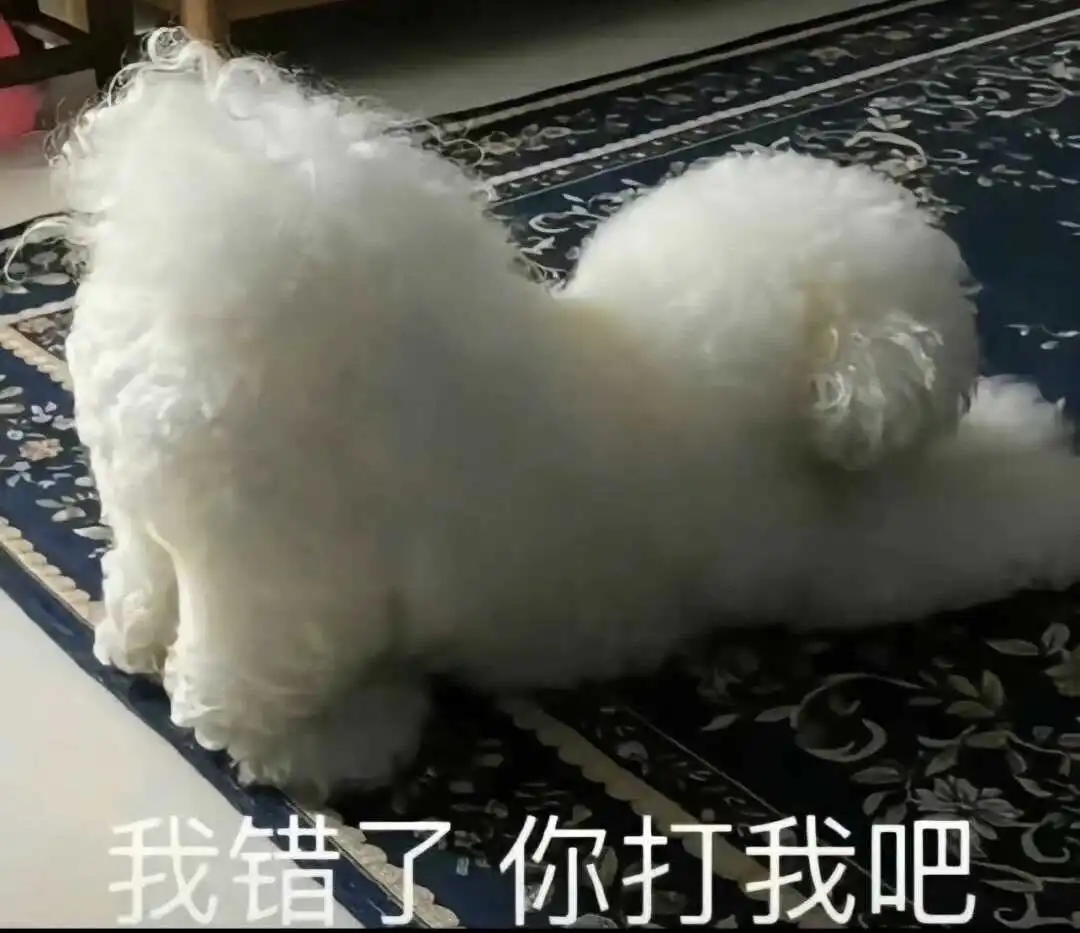 西檬之家-字母圈的DT是什么意思？
